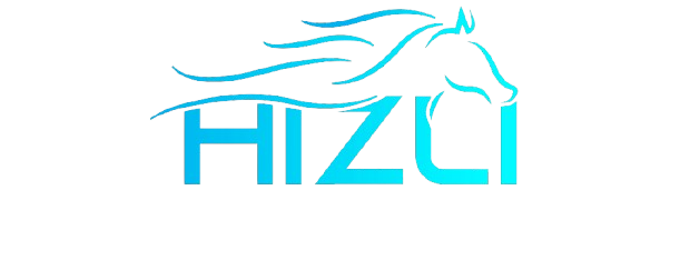 Hizli Group